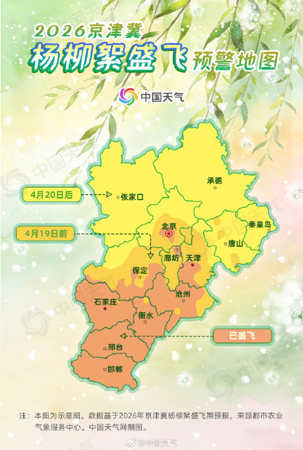 四月“雪”！2026杨柳絮盛飞预警 来了 &nbsp;京津冀即将全面进入杨柳絮盛飞期