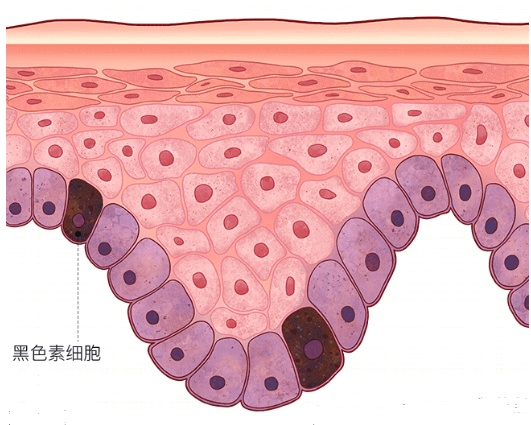 他不幸离世，年仅24岁！一生太坎坷！去年才确诊，脸上曾出现这些变化→
