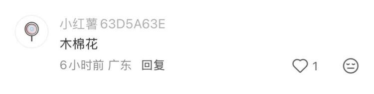 神奇！福州树上惊现“泡沫棉花糖”！真相竟是蛙卵