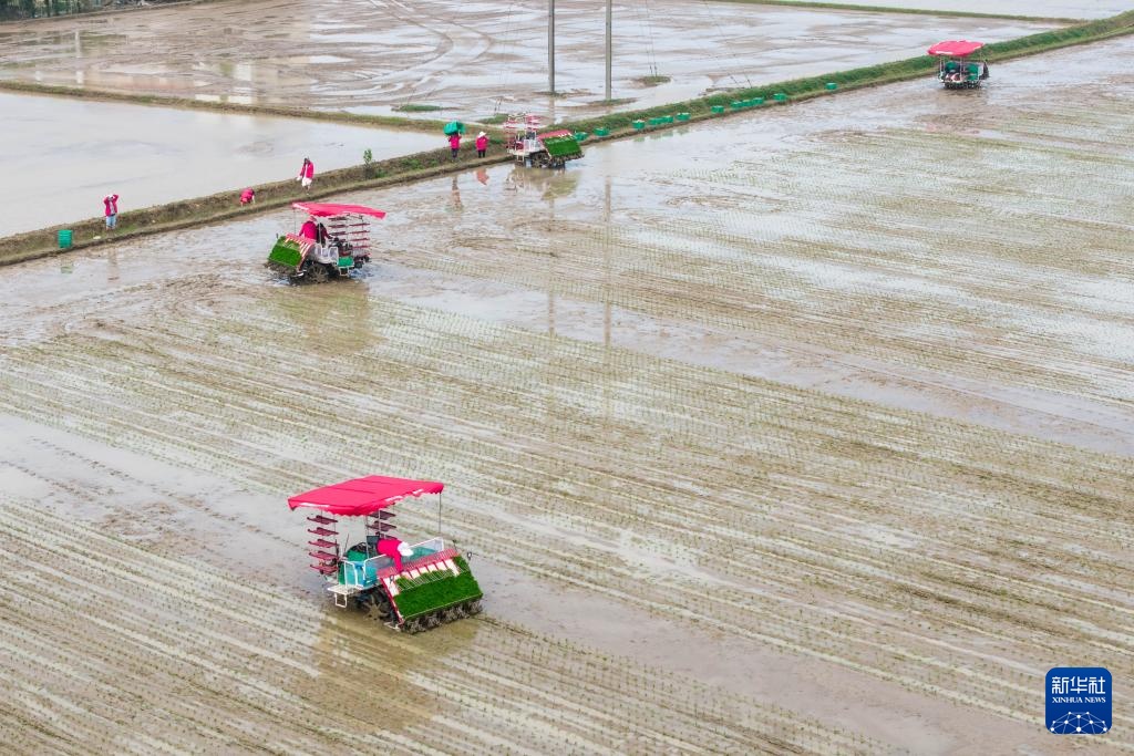 湖南望城：智慧农场春耕忙