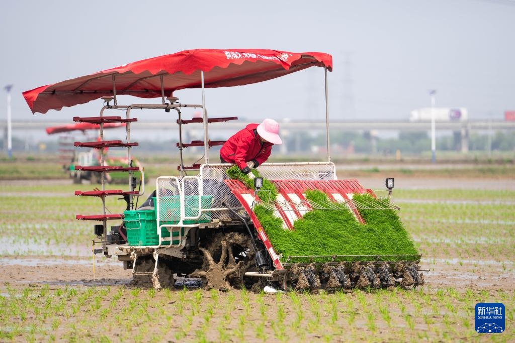湖南望城：智慧农场春耕忙