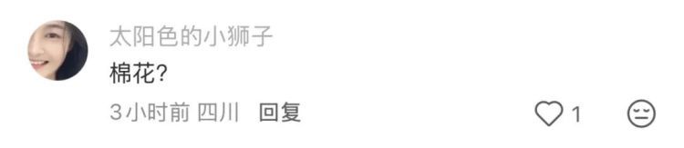 神奇！福州树上惊现“泡沫棉花糖”！真相竟是蛙卵