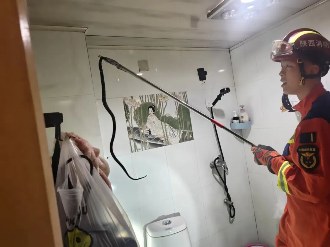 警惕！西安住户家中现“不速之客”，遇到立刻报警→