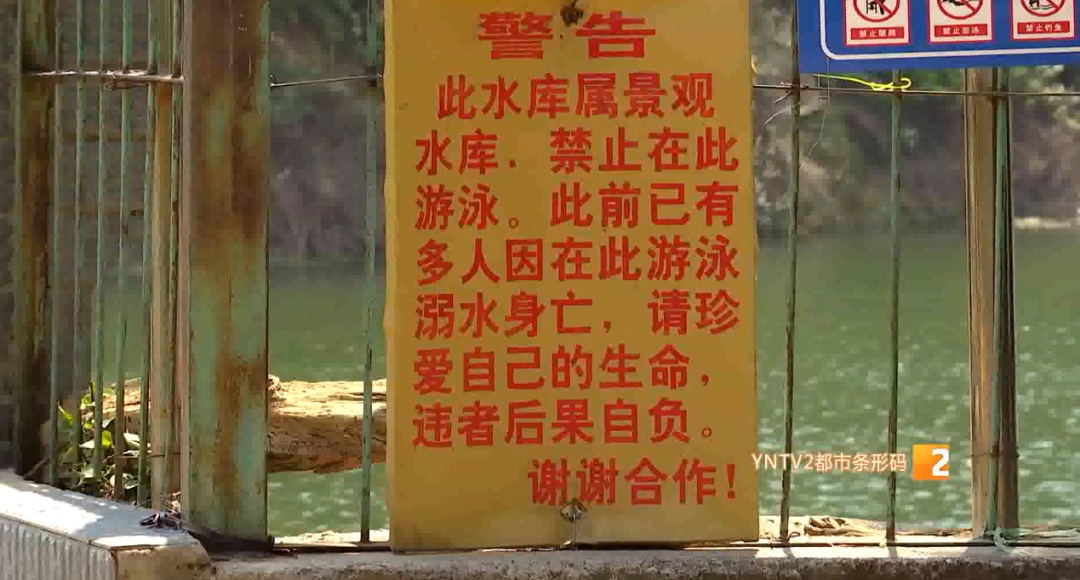 危险！昆明一水库野泳者增多，明知水深仍有人以身涉险