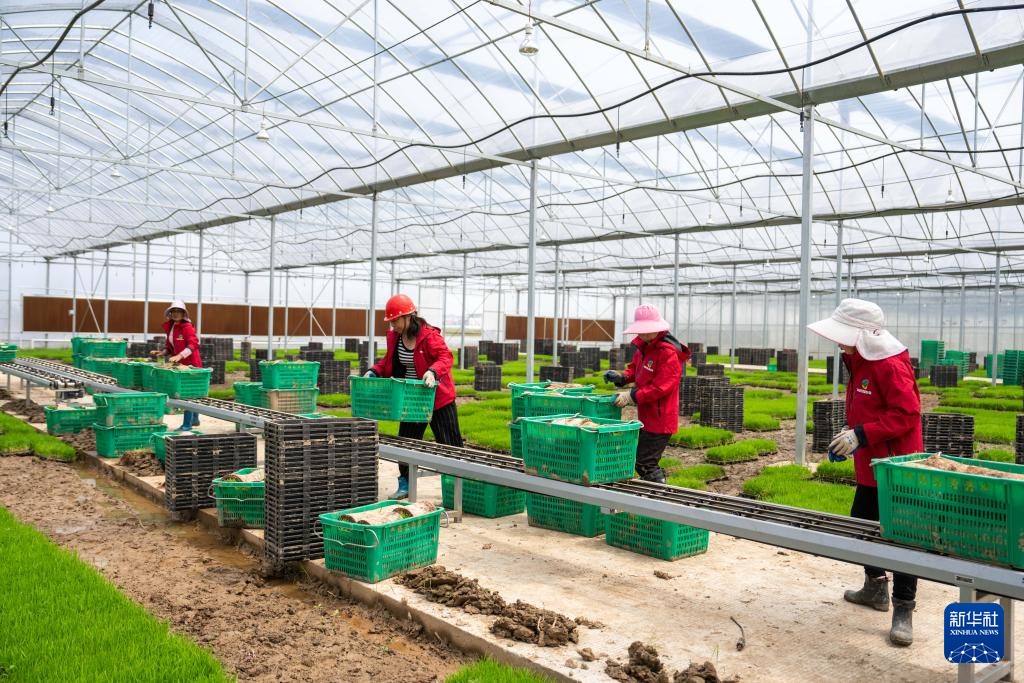 湖南望城：智慧农场春耕忙