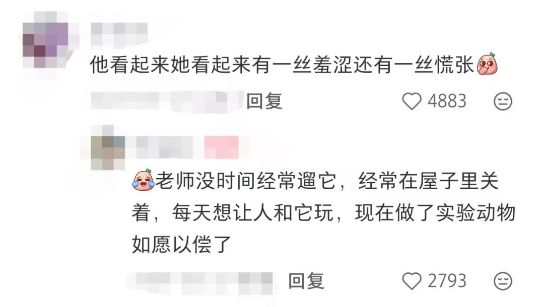 眼花了？！这回我“DNA”真动了🫣……