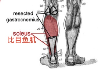 久坐必练！1个动作降血糖！