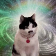 眼花了？！这回我“DNA”真动了🫣……