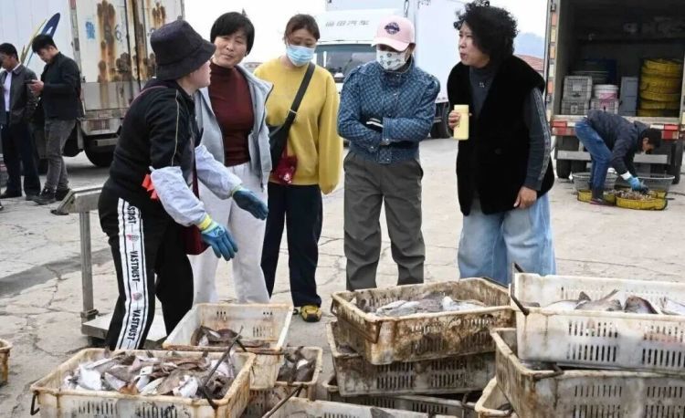 每斤30-40元，青岛这里一船能捕1000多斤！上岸就被抢购，市民：再不吃就来不及了……