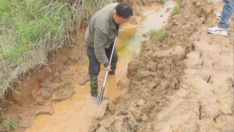 江西：强降雨致农田受淹 多地抢排追肥保春耕生产