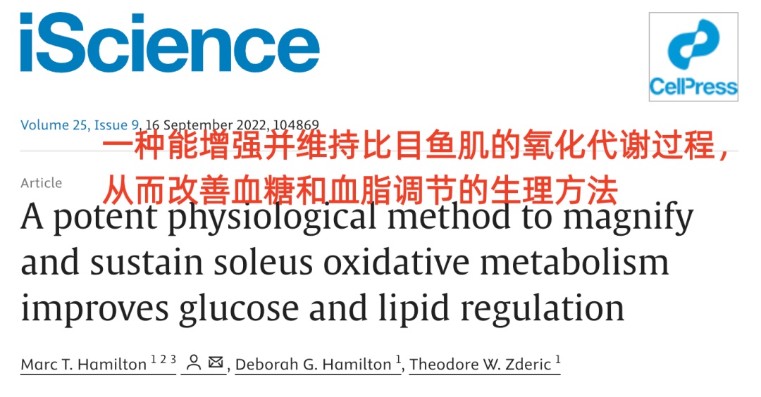 久坐必练！1个动作降血糖！
