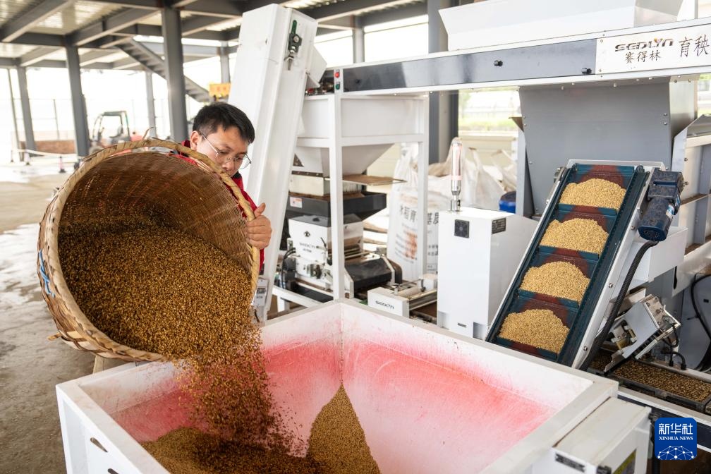 湖南望城：智慧农场春耕忙