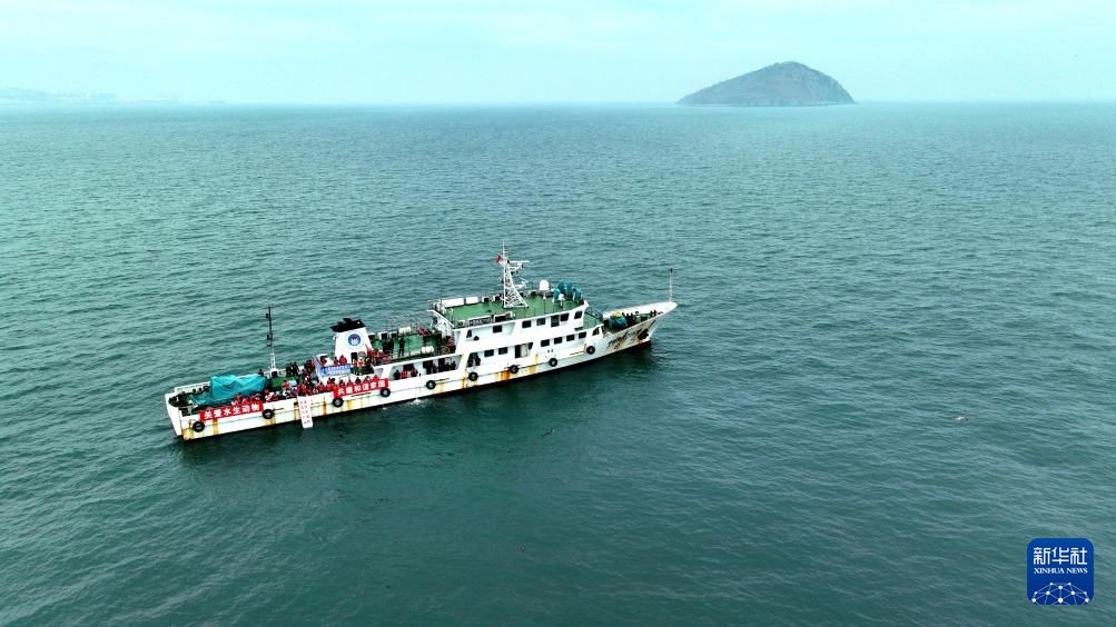 保护救助、人工繁育 我国放归5头西太平洋斑海豹