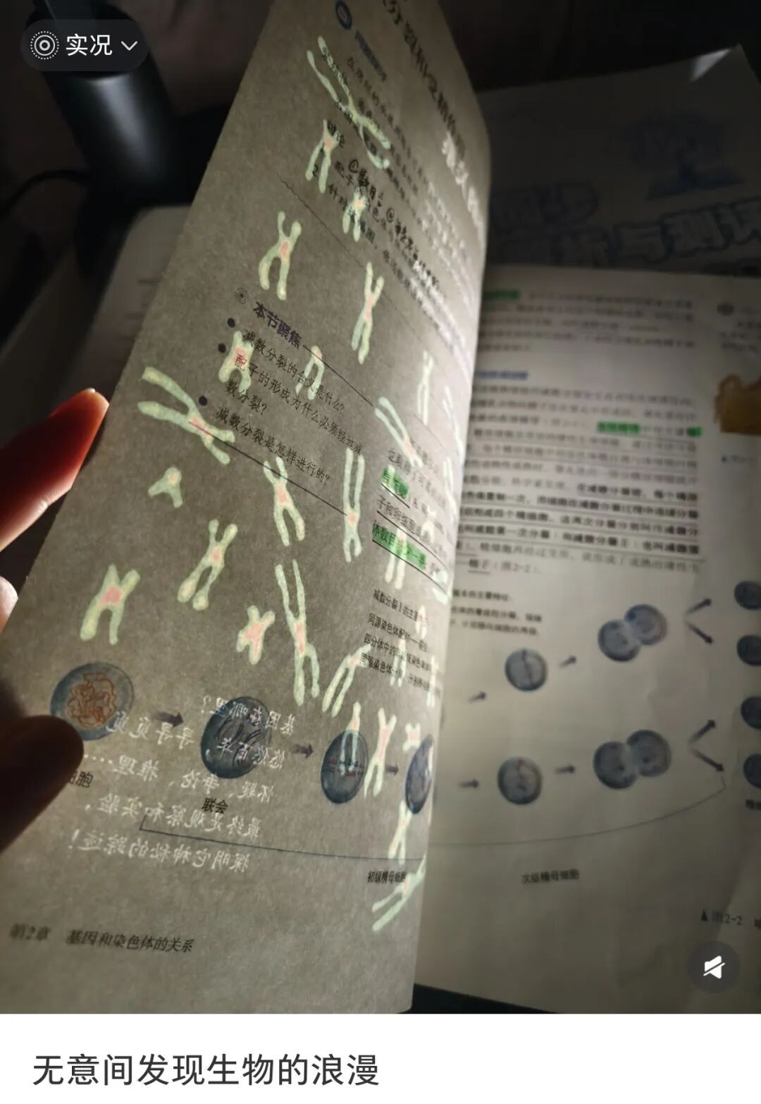 眼花了？！这回我“DNA”真动了🫣……