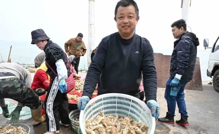 每斤30-40元，青岛这里一船能捕1000多斤！上岸就被抢购，市民：再不吃就来不及了……