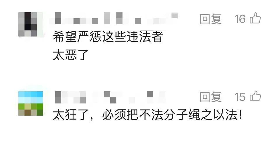 上海一女子因举报虐猫群聊遭“开盒”，被造黄谣，一度被气到住进ICU！警方介入→