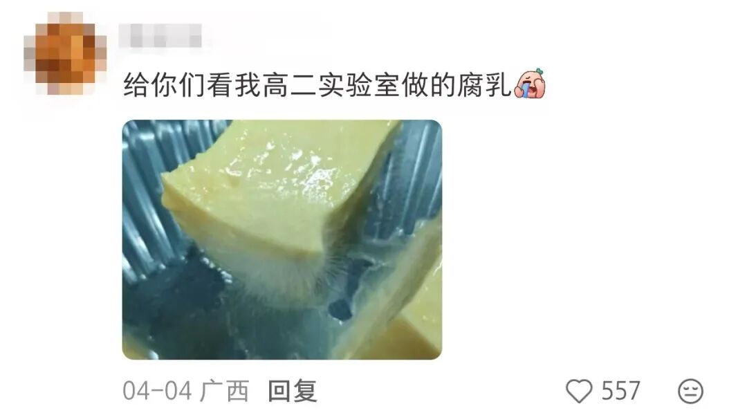 眼花了？！这回我“DNA”真动了🫣……