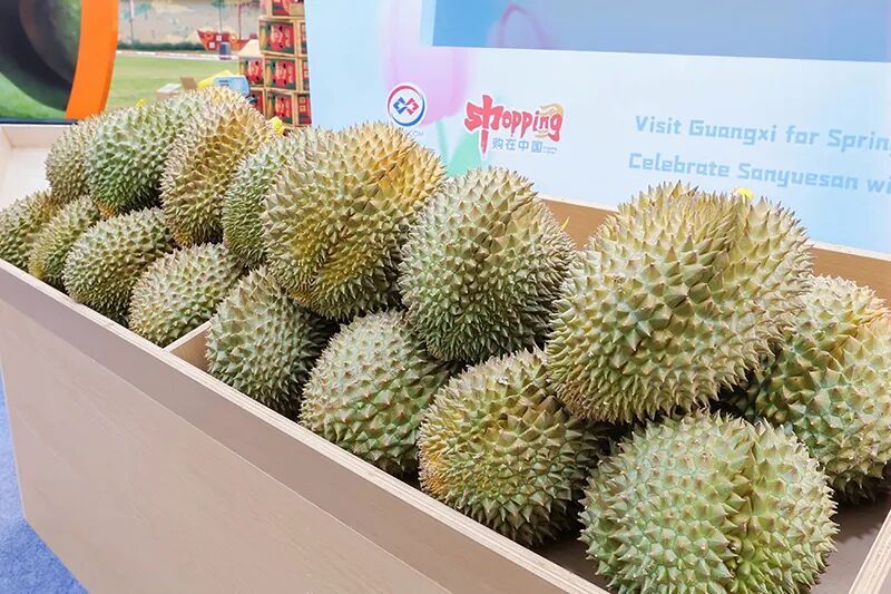 春假去哪游？“广西请帖”已发出