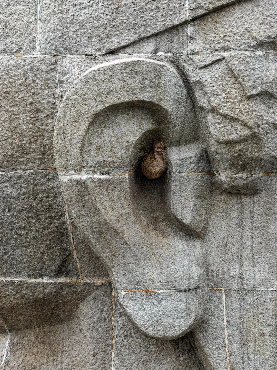 “我是‘柳宗元’，最近做了一次采耳……”