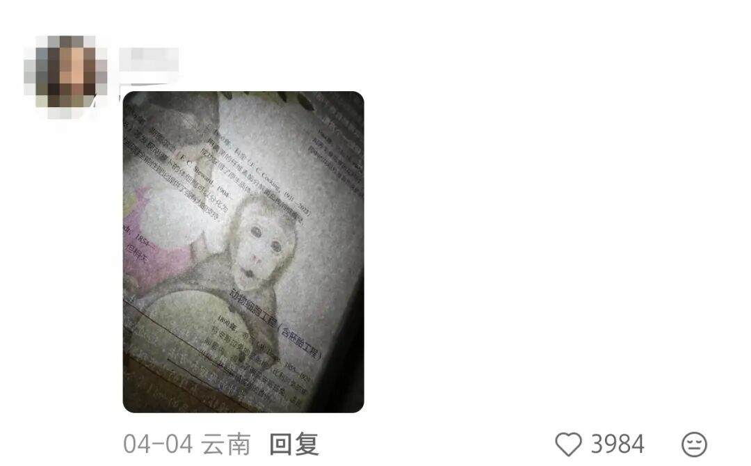 眼花了？！这回我“DNA”真动了🫣……