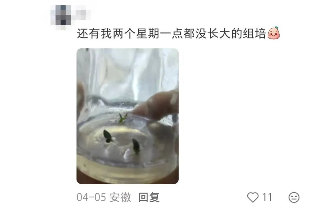 眼花了？！这回我“DNA”真动了🫣……