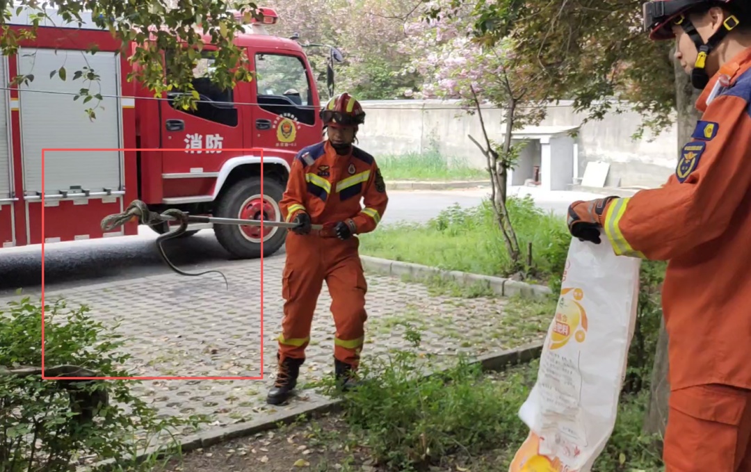 警惕！西安住户家中现“不速之客”，遇到立刻报警→