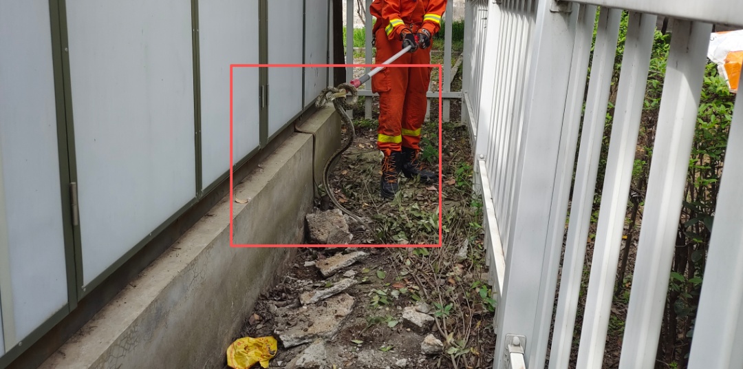 警惕！西安住户家中现“不速之客”，遇到立刻报警→