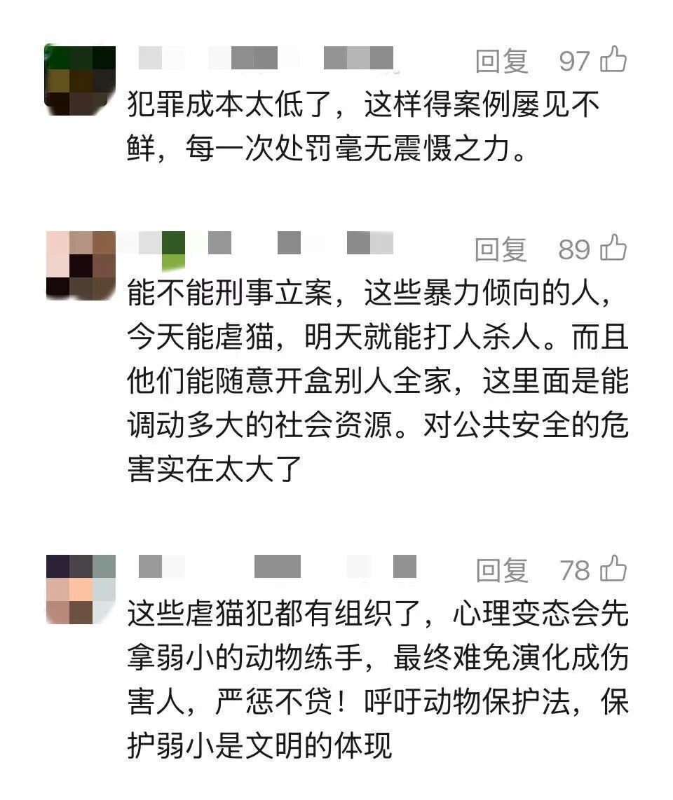 上海一女子因举报虐猫群聊遭“开盒”，被造黄谣，一度被气到住进ICU！警方介入→