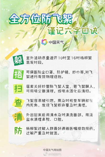 四月“雪”！2026杨柳絮盛飞预警 来了 &nbsp;京津冀即将全面进入杨柳絮盛飞期