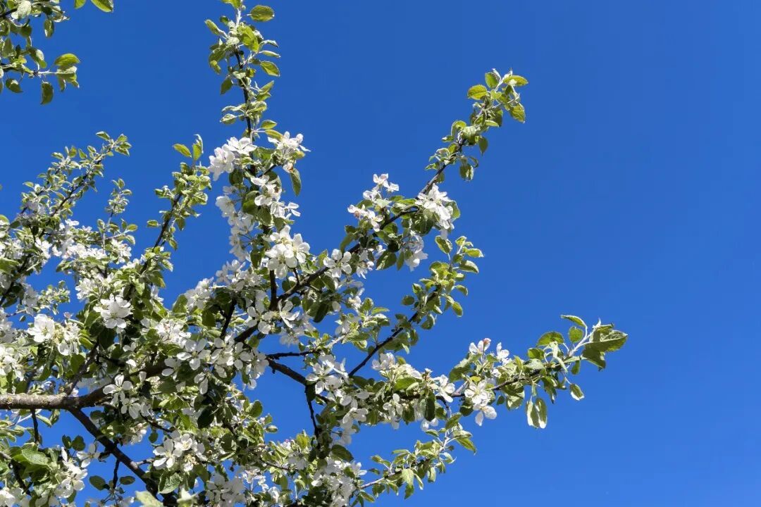 32℃！雨停，江西切换至晴朗天气～