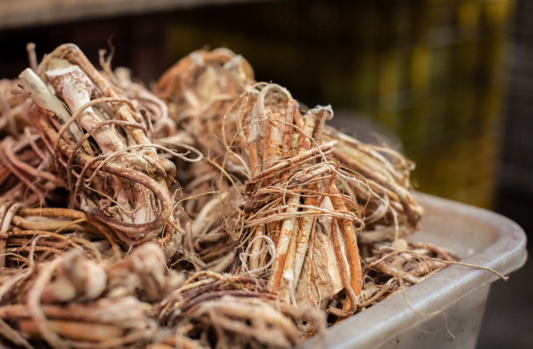 “莫氏鸡煲”走红，顺德官方提醒：这点要警惕！