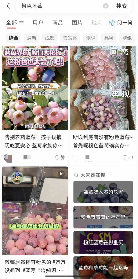 “粉色蓝莓”一颗难求，炒至400元/斤？专家：没那么神 10多年前就已引入