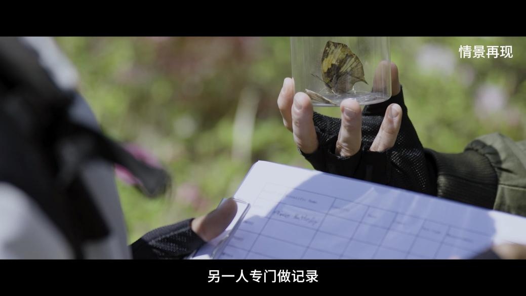 网约车司机猛踩油门冲进军营，还抢乘客手机！两名外籍乘客确认是间谍