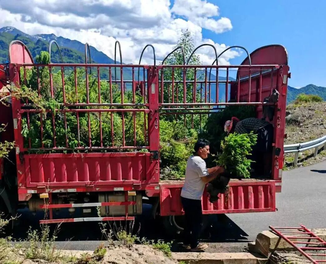 87枚红手印，全村一户不落！