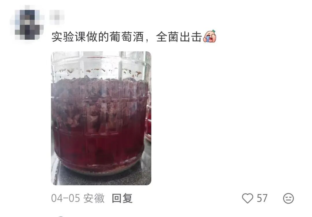 眼花了？！这回我“DNA”真动了🫣……