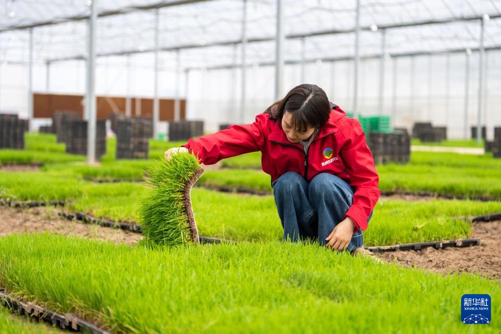 湖南望城：智慧农场春耕忙
