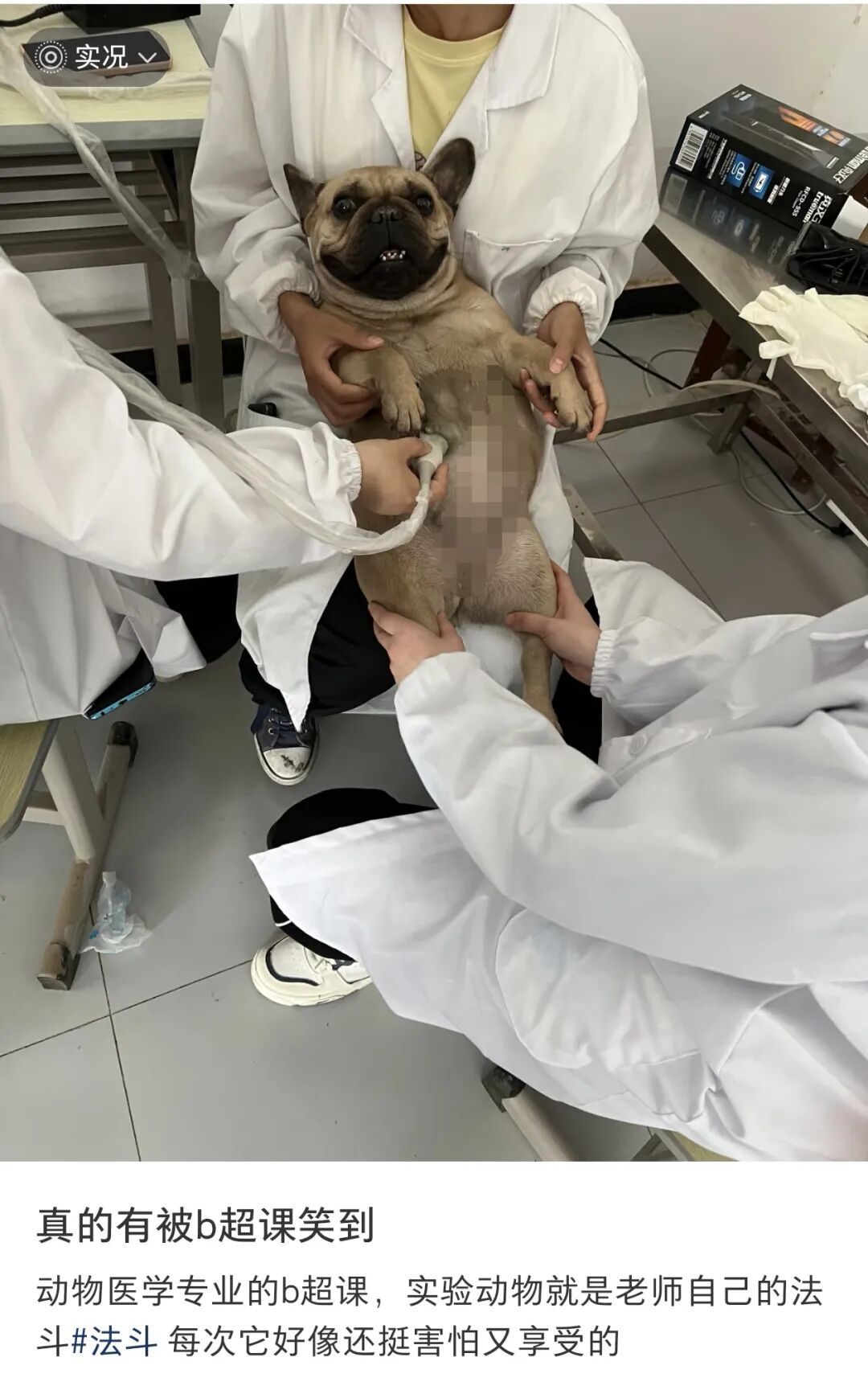 眼花了？！这回我“DNA”真动了🫣……