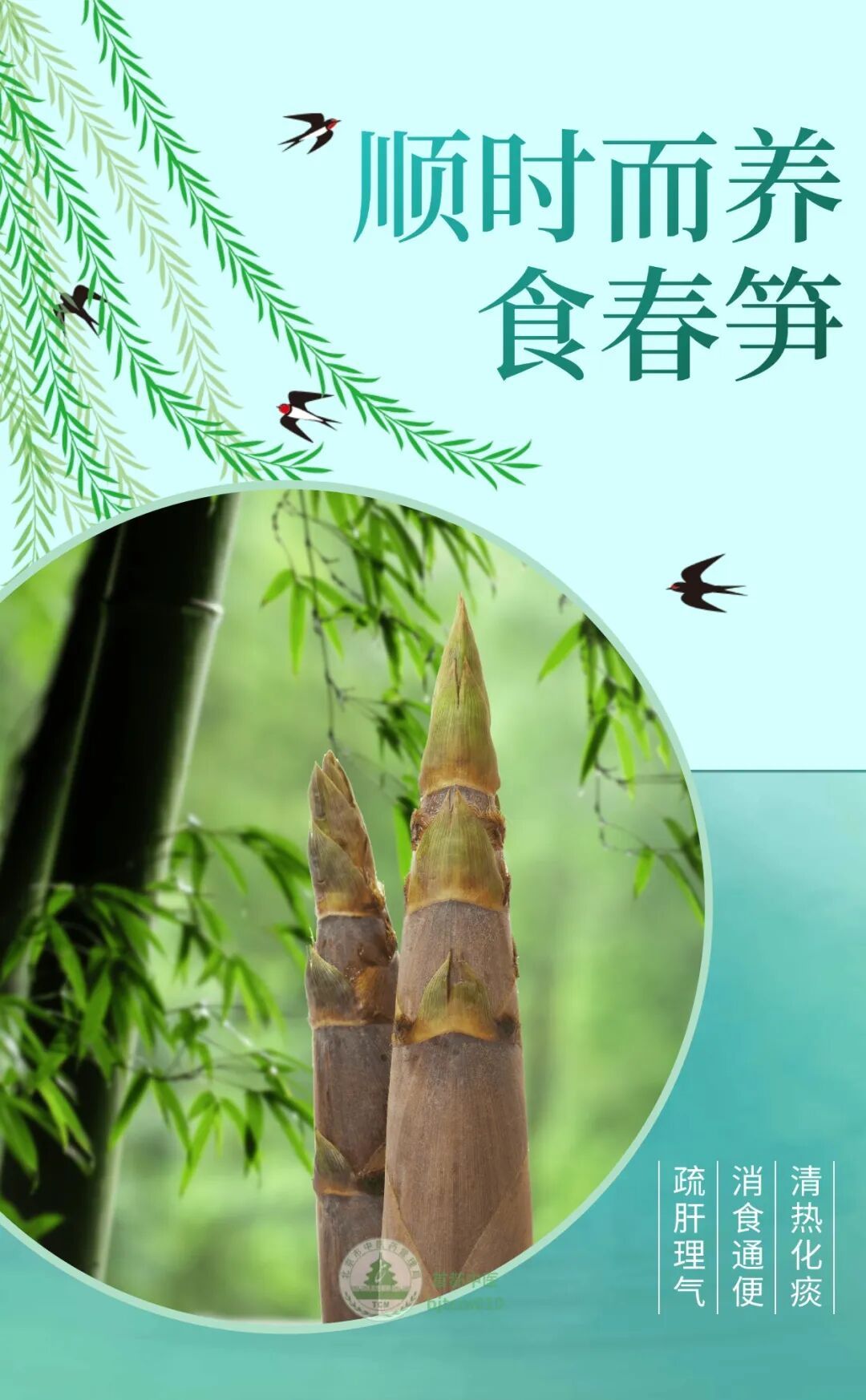 应季而生的 “春之味”，清痰湿、通肠胃，错过等一年！