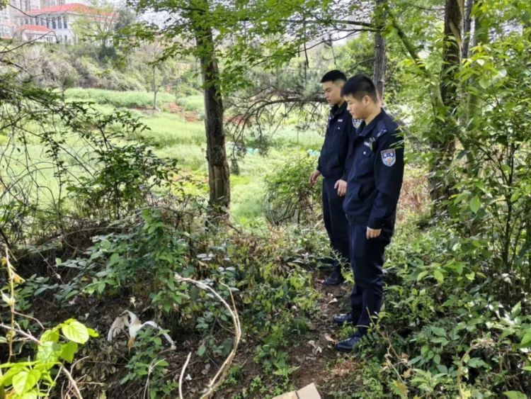 国家“三有”保护动物牛背鹭，成功获救！