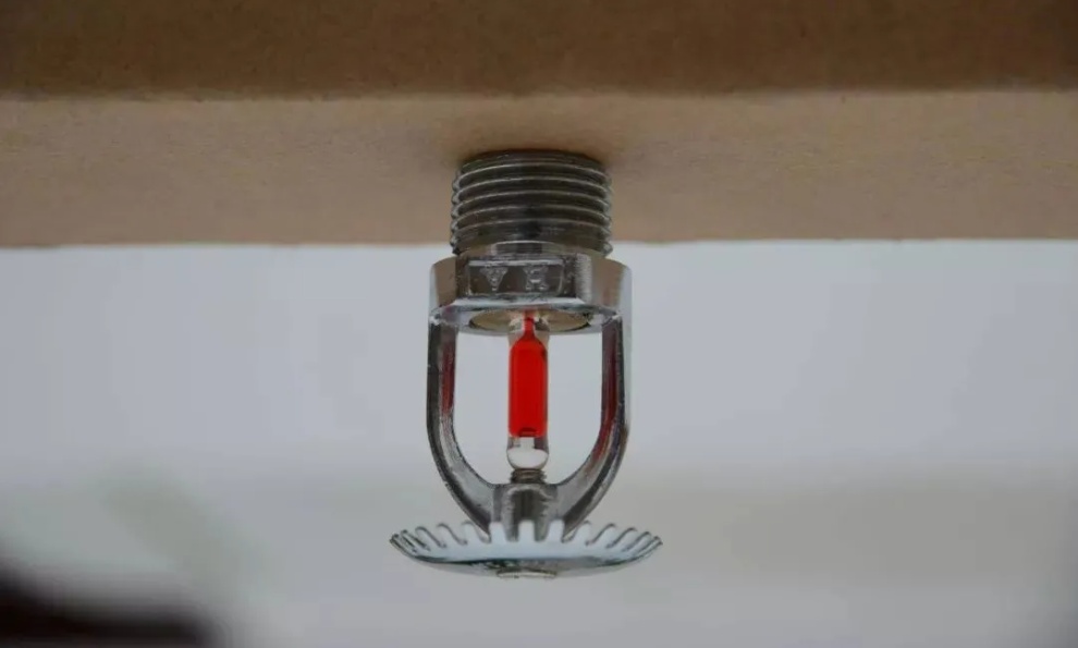 厂区夜晚突降“火雨”！小小的“它”立大功