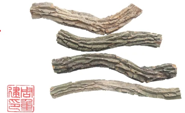 极为相似，3克就能致死！在家做“莫氏鸡煲”，这个原料千万别弄错