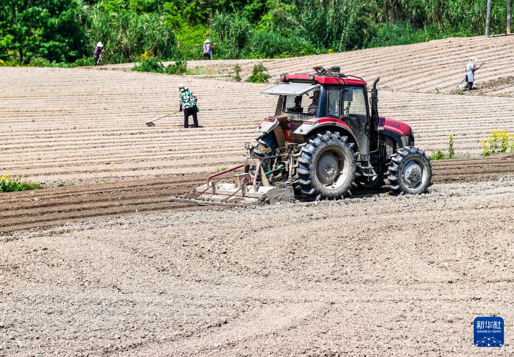 “巴渝粮仓”春日农耕美如画