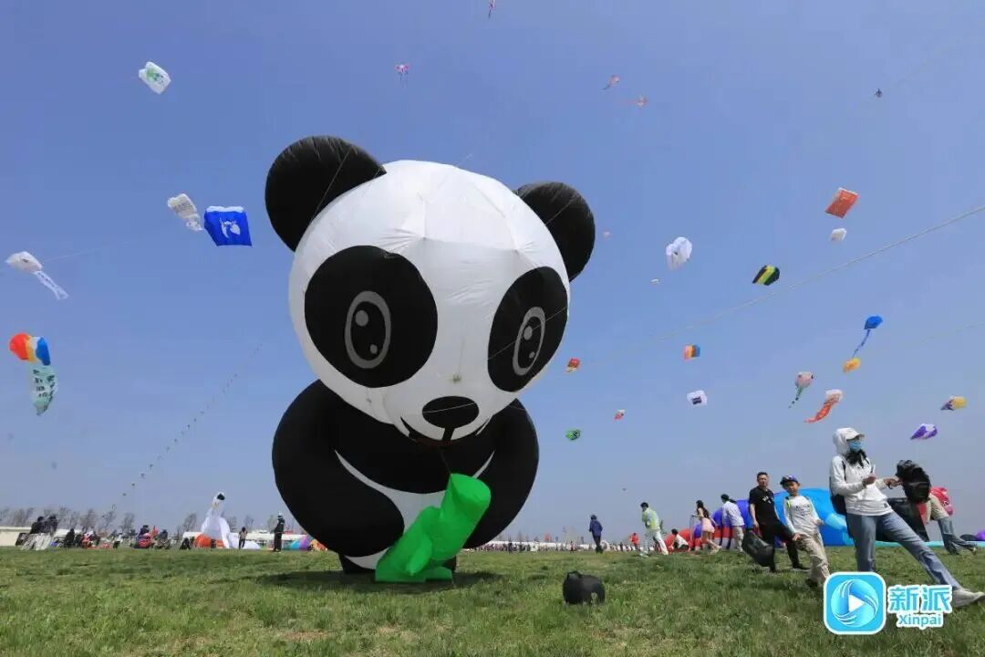 “红鲤鱼与绿鲤鱼与驴”上天了！潍坊风筝，必须给到一个“夯”