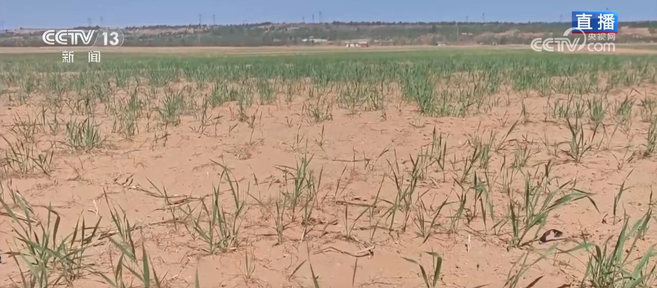 “会种地”→“慧种地” 科技赋能希望的田野标准化作业加“数”跑