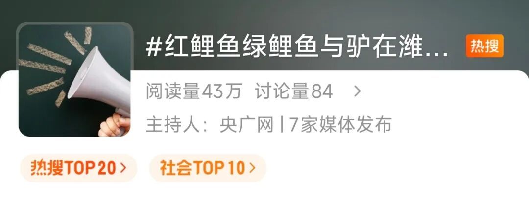 “红鲤鱼与绿鲤鱼与驴”上天了！潍坊风筝，必须给到一个“夯”