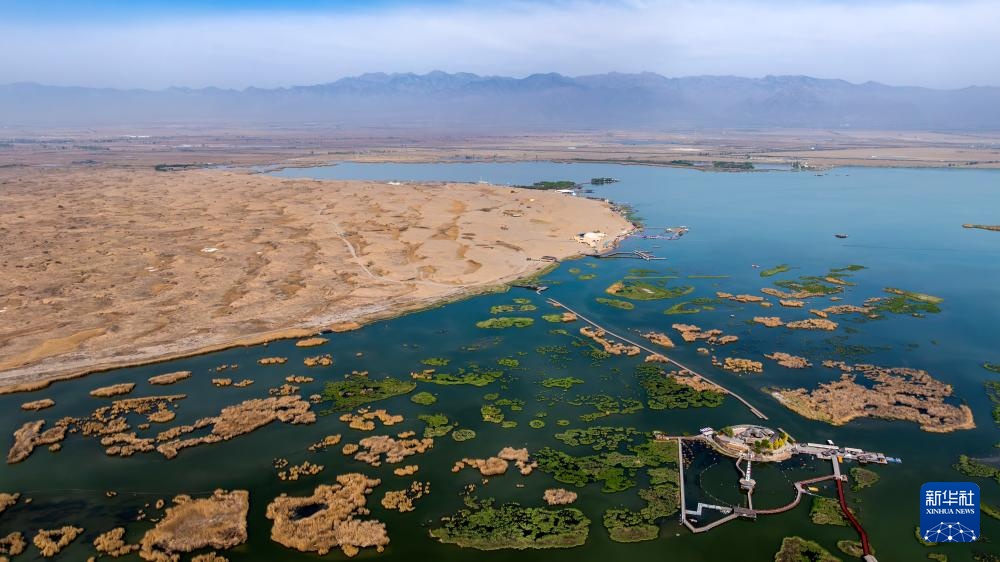 沙水世界 候鸟蹁跹