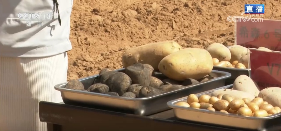 “会种地”→“慧种地” 科技赋能希望的田野标准化作业加“数”跑