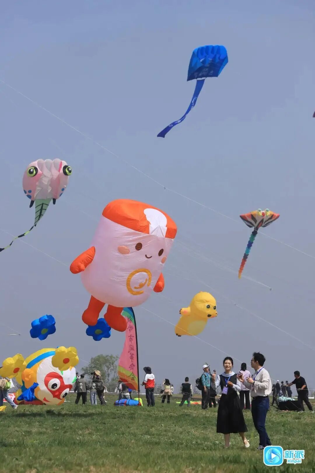 “红鲤鱼与绿鲤鱼与驴”上天了！潍坊风筝，必须给到一个“夯”