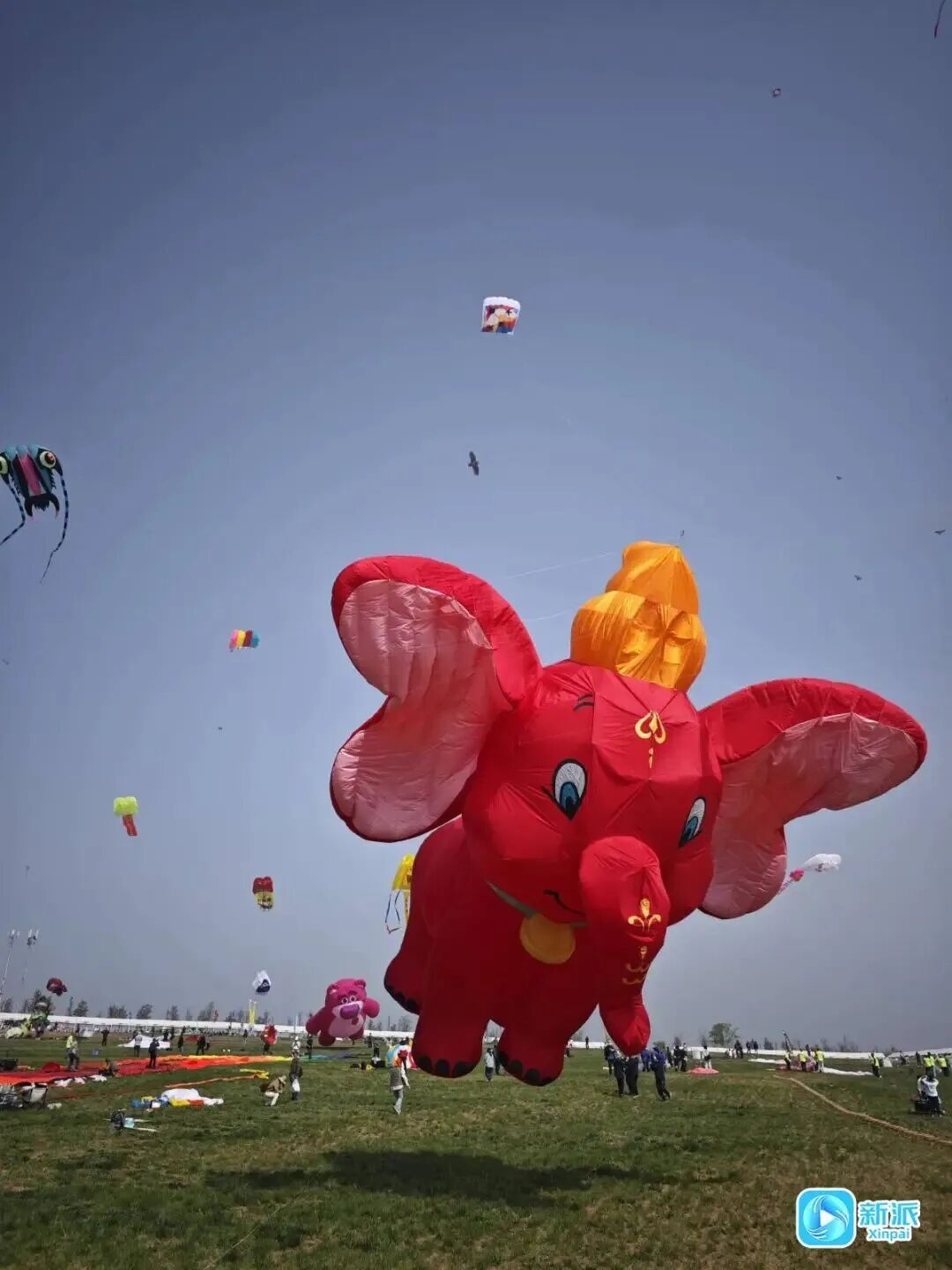 “红鲤鱼与绿鲤鱼与驴”上天了！潍坊风筝，必须给到一个“夯”
