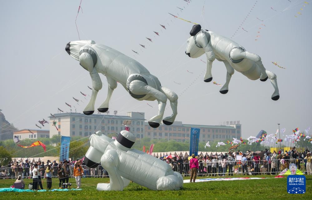 第43届潍坊国际风筝会开幕